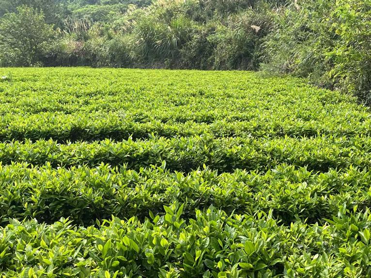 LrģƷdϪ֪СldMFLϪN