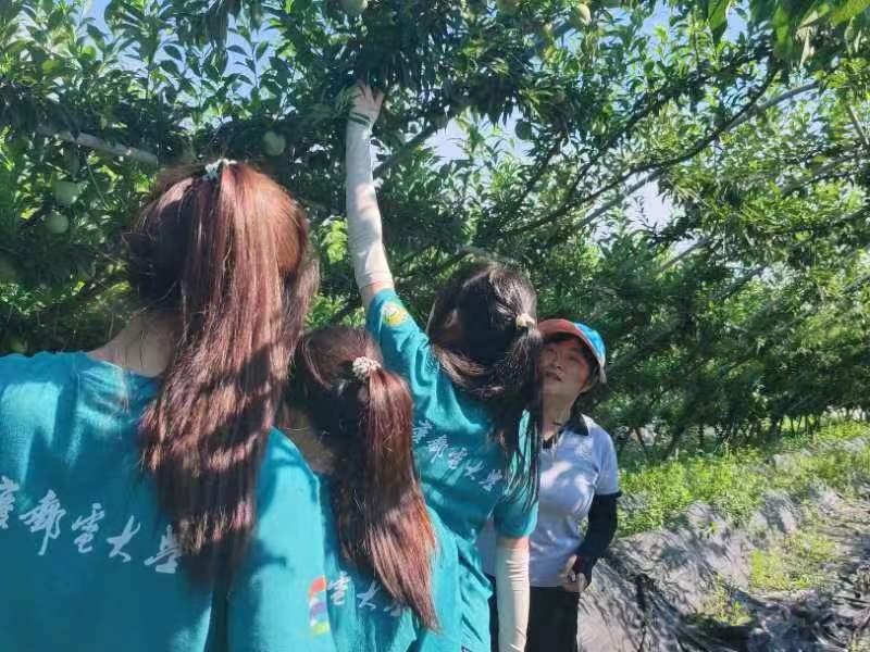 ]Wӻ펧؛̡һ̽rILò