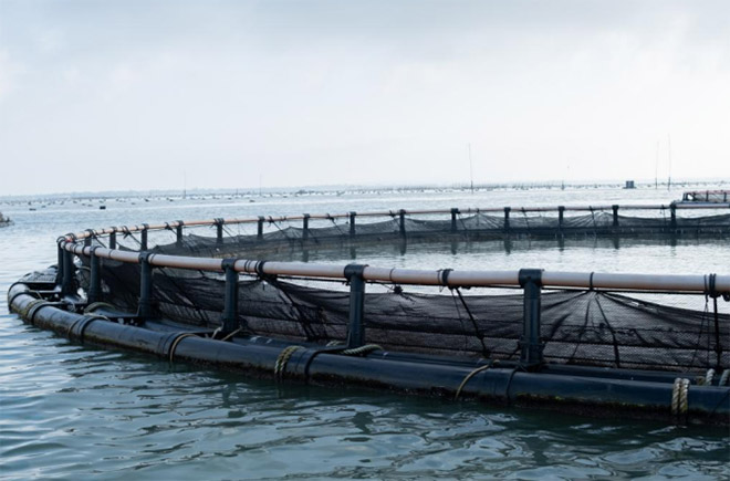 L(fng)̽ƼxB(yng)ֳ V|W(xu)VƼF(xin)r(nng)I(y)տߡF(tun)(du)_(ki)չB(yng)ֳ^y(c)(sh)`(dng)