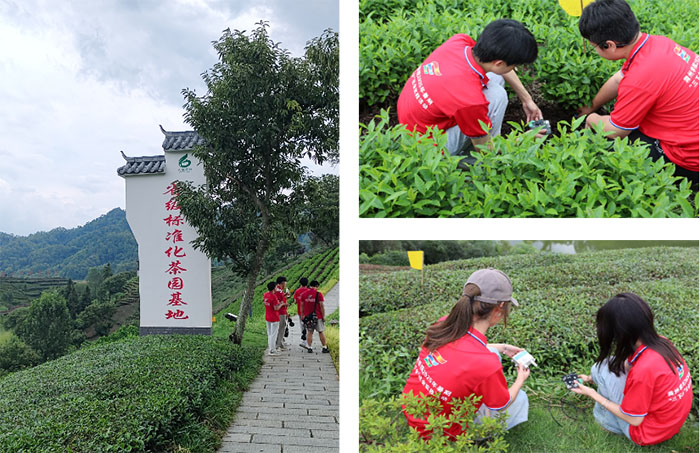 ഺc㹲衪݌WԺWMկ@wƬy