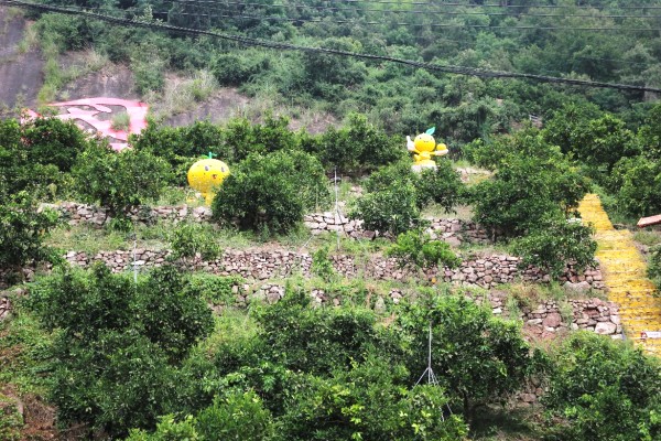 h|WԺСȹ¡`ꠣ̽߸ϪwںIBLB°lչ