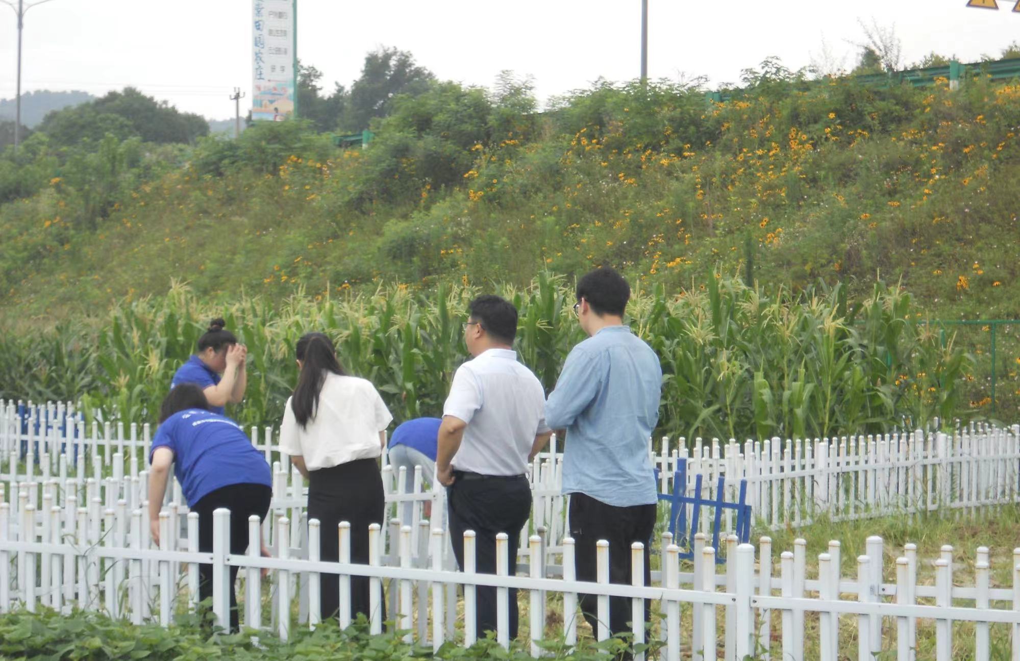 GҰС(yng)(du)r(nng)(chng)֮