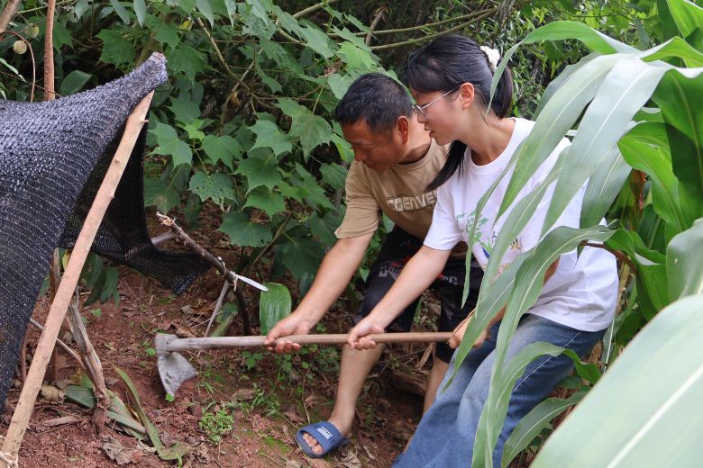 t(y)W(xu)ԺW(xu)l(xing)r(nng)w(yn)н𣬉Lnl(xing)