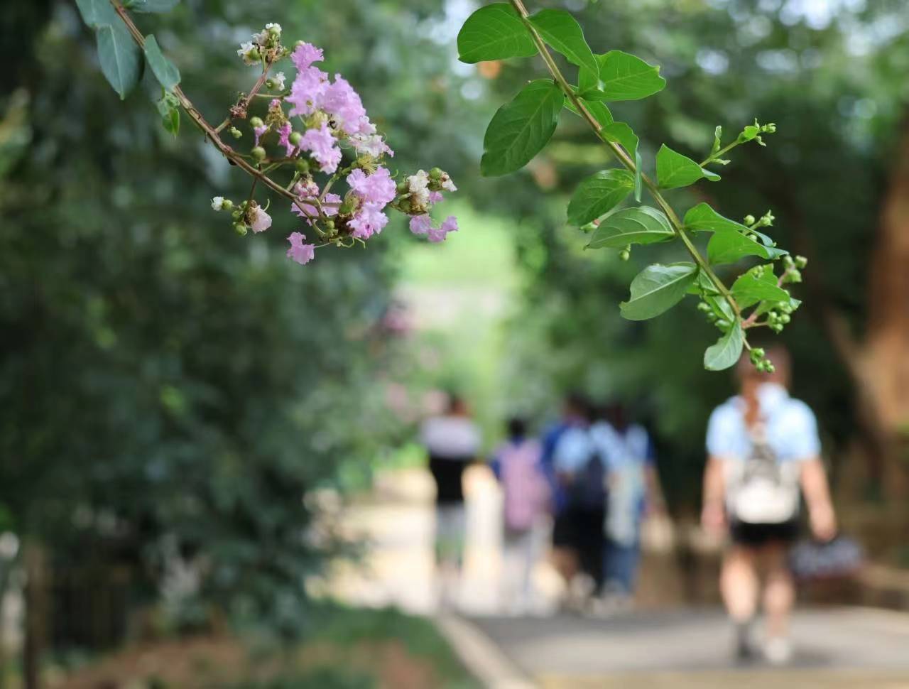 ˮLBӺ® WӸӺ^_չ`{