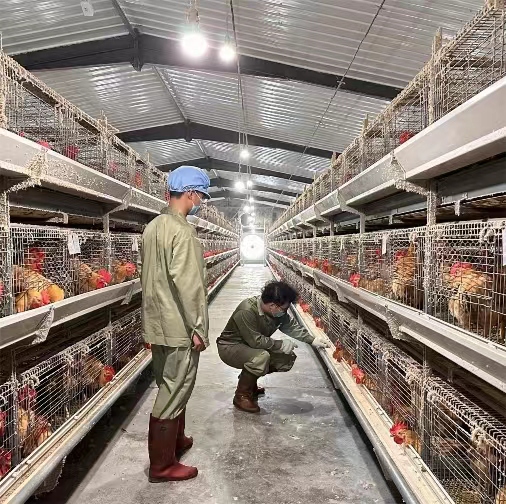 ǧf̣ݽl(wi)ʿ(sh)`F(tun)ϴԇ(yn)y_(chung)uֻwرO(jin)y(sh)(j)ƪ£