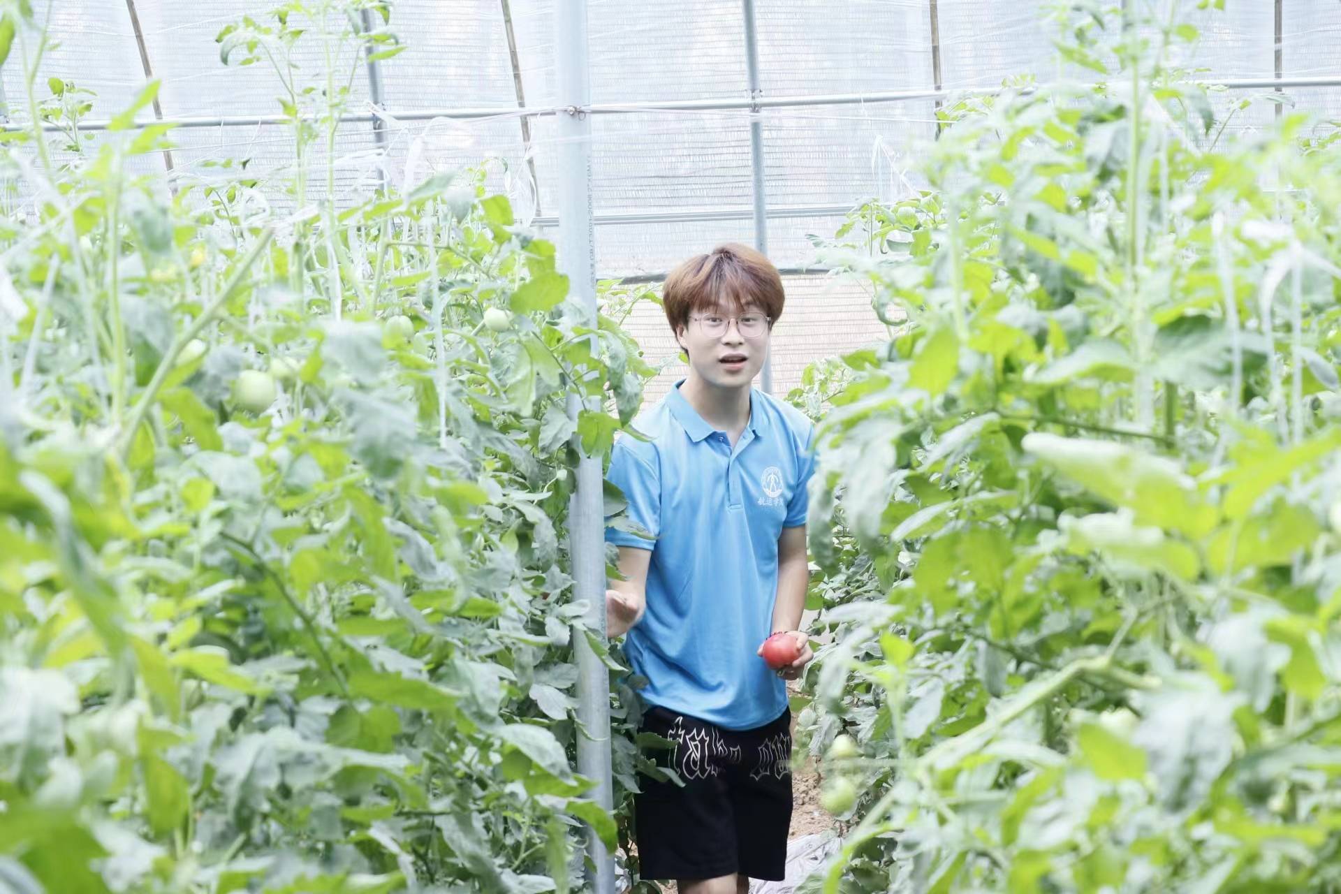 ഺldɽ|ͨWԺε{`FڗI