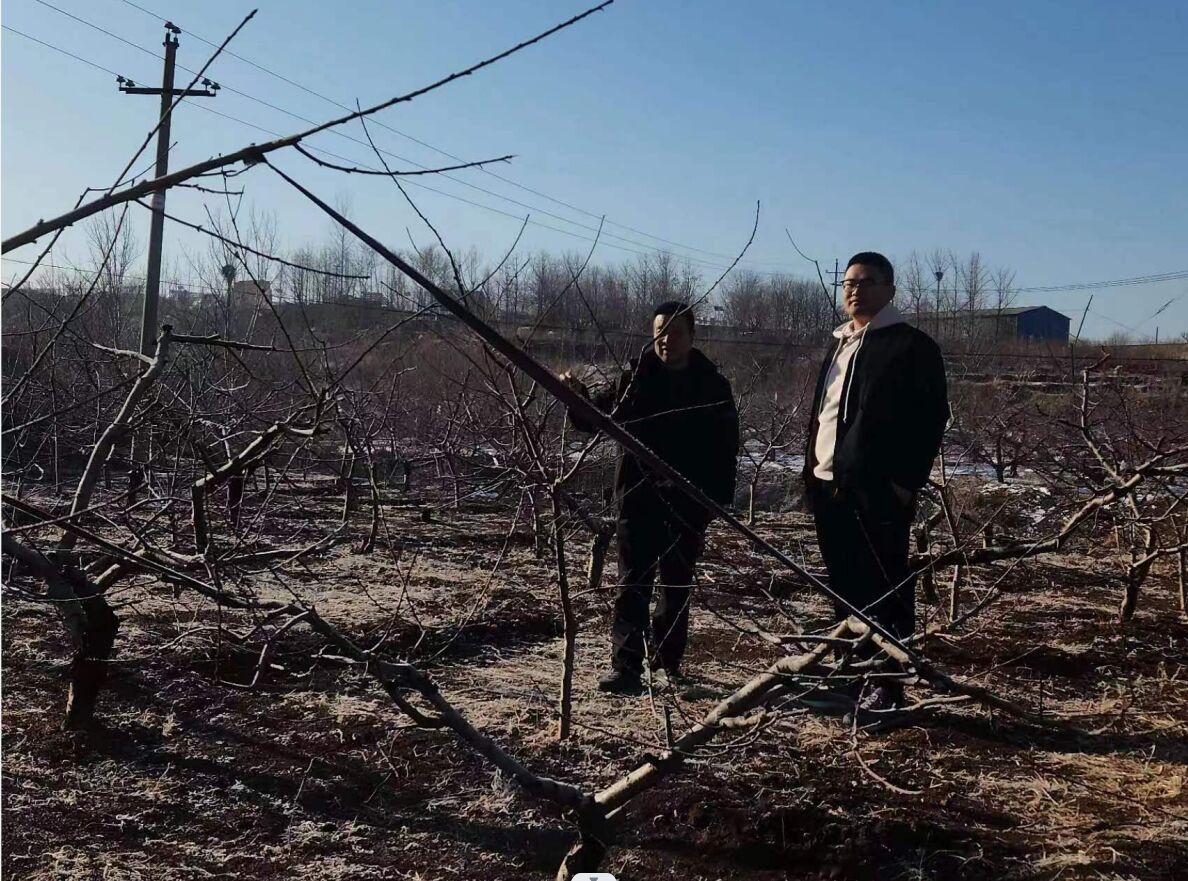 ɣr(nng)飬B(ti)С{(dio)ЈF(tun)(sh){(dio)