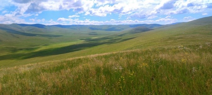 ɽ|WG`С{ЈF-ɹ߲ԭ{