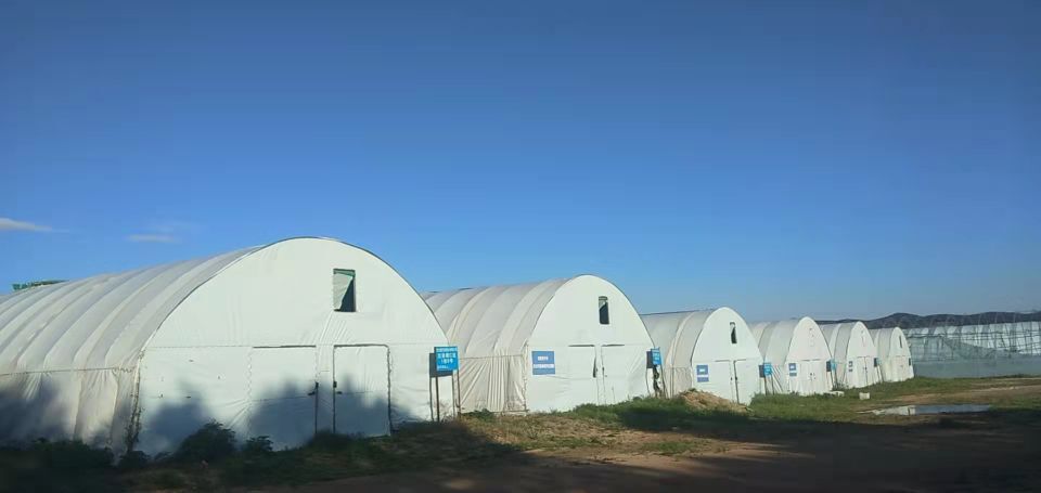 ůB룬ަF|ɹؐӸʳþķؚ