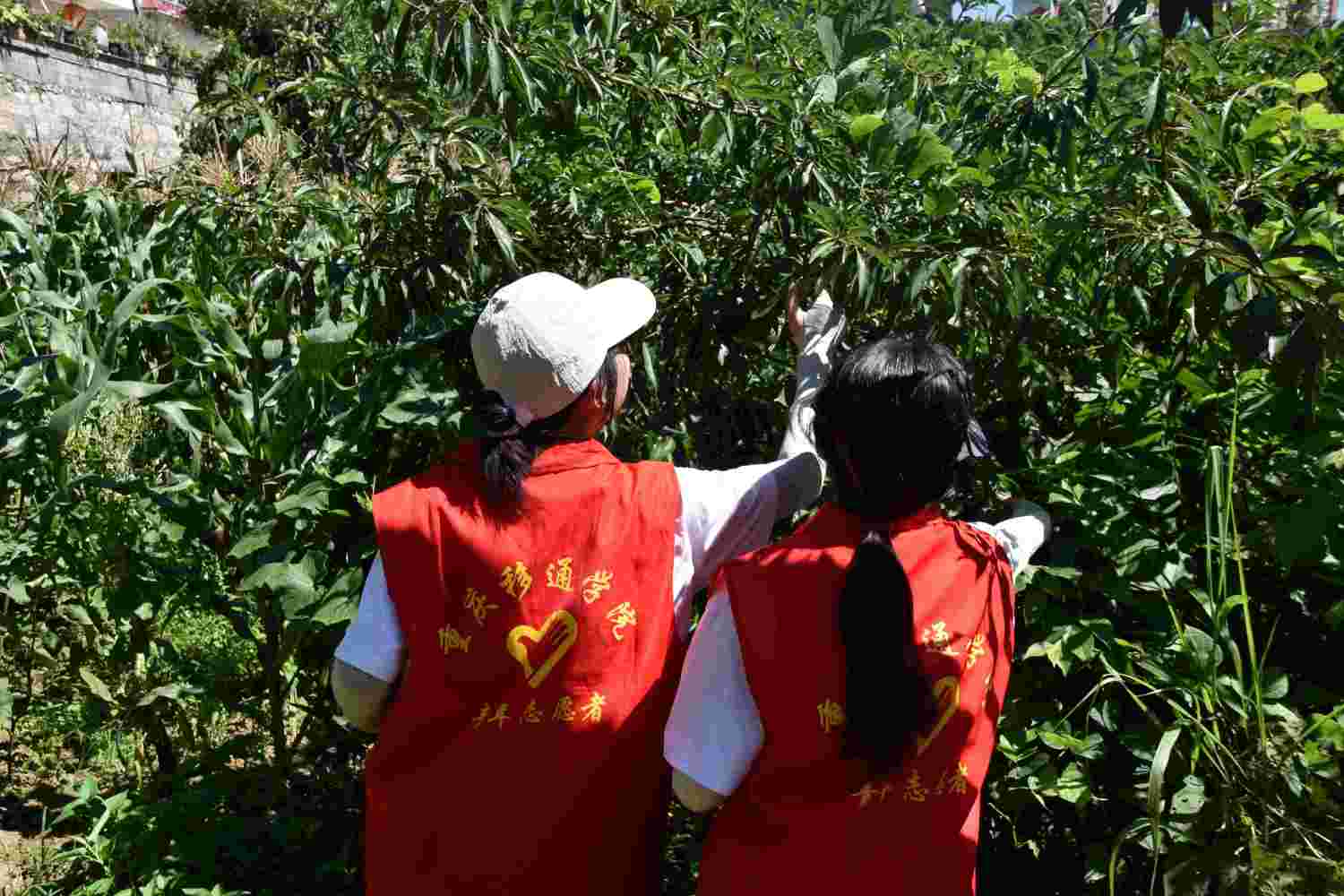 p{xld ʮ֮sن̡tɫʹLhʷWF