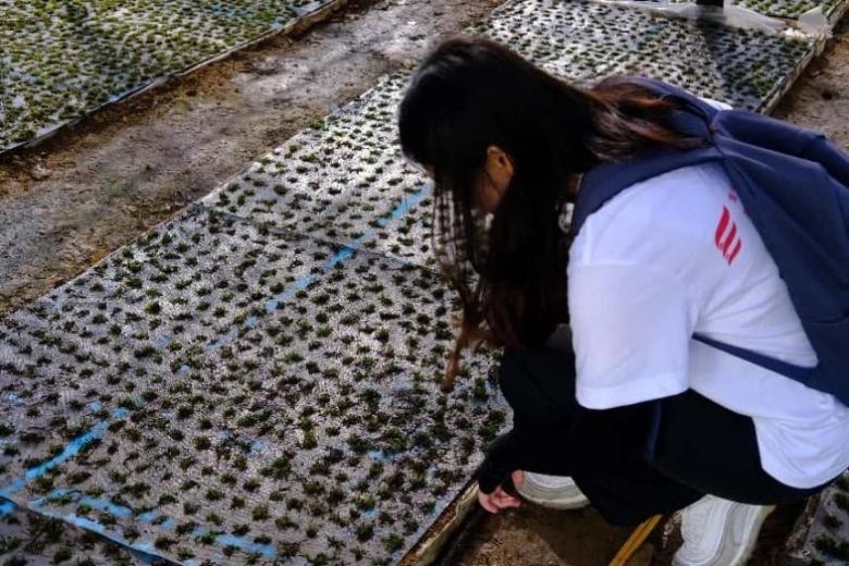 MѾg^̽LlrI· ؑcW־ԸՈFꖮaI{