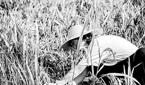 ҂@ʮഺ`ӛ˼`nҊC^Mr