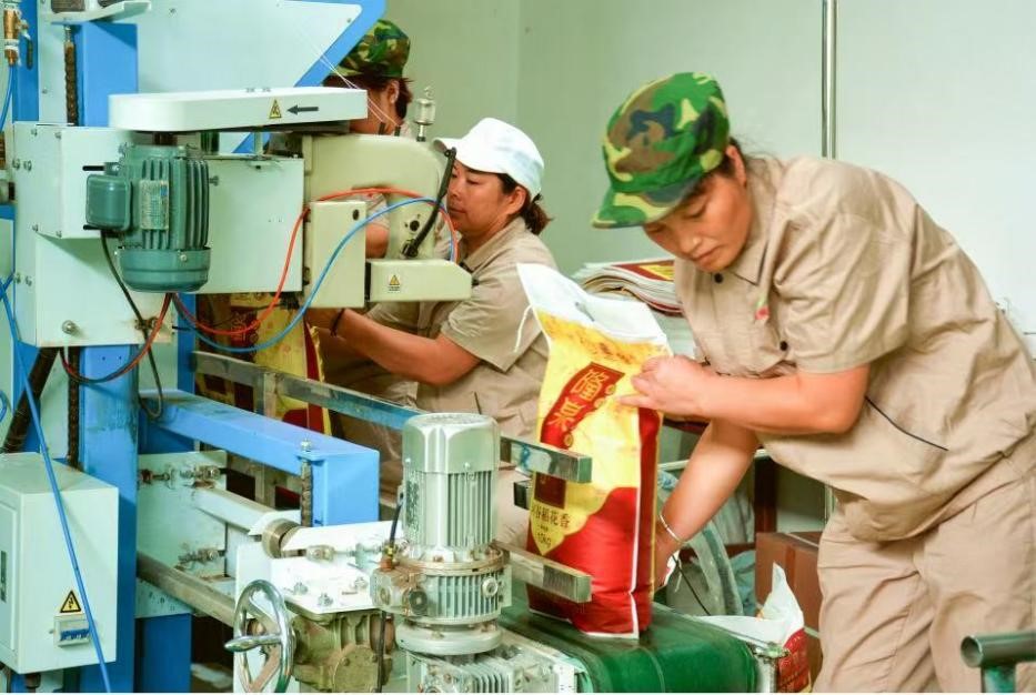 ɽ|WGdr,̼·h{ЈFǰе¡ȪטI؟ι˾_չ{