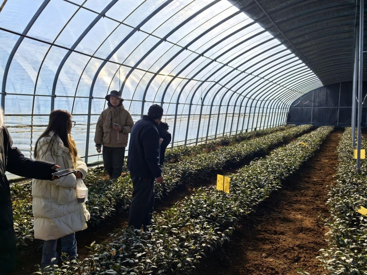 Ƽxܲ~ƪ£һ~꠲@֪̽