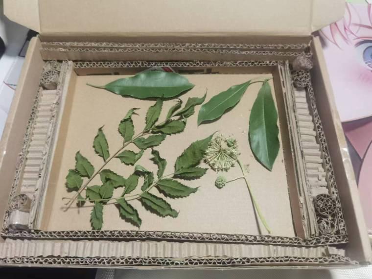 cW(xu)Уl(f)չľ̌W(xu)ԺekcW(xu)Уl(f)չ}Ą(chung)Ʒ