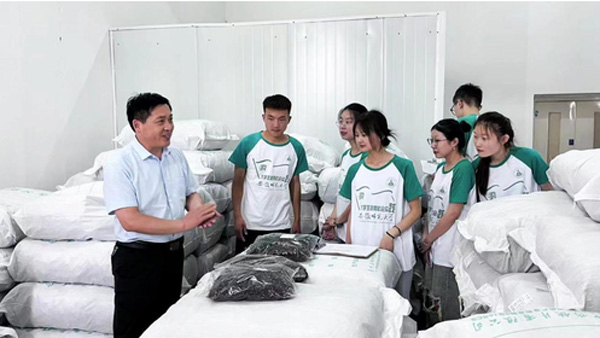 MˎƬI(y)̽l(xing)dӋ