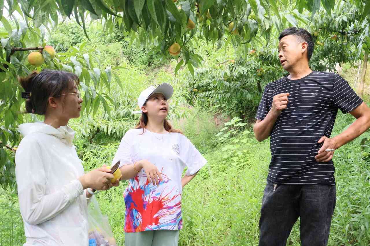 չO(sh)Ӌ(j)L(fng) l(xing)d