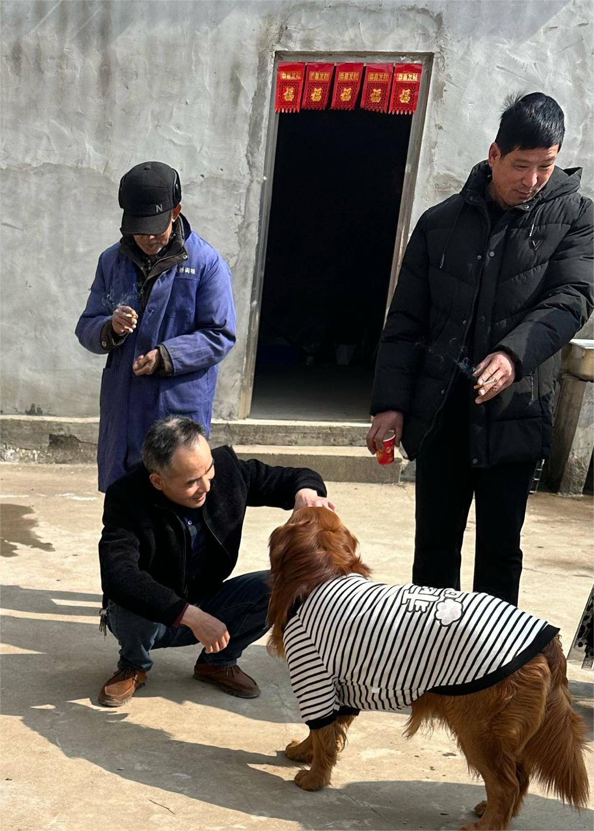 ؔWӸi壺̽l弯wlչ˼·