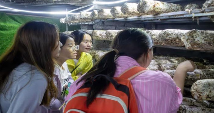 ^VB(yng)ֳw(hu)ɫr(nng)I(y)