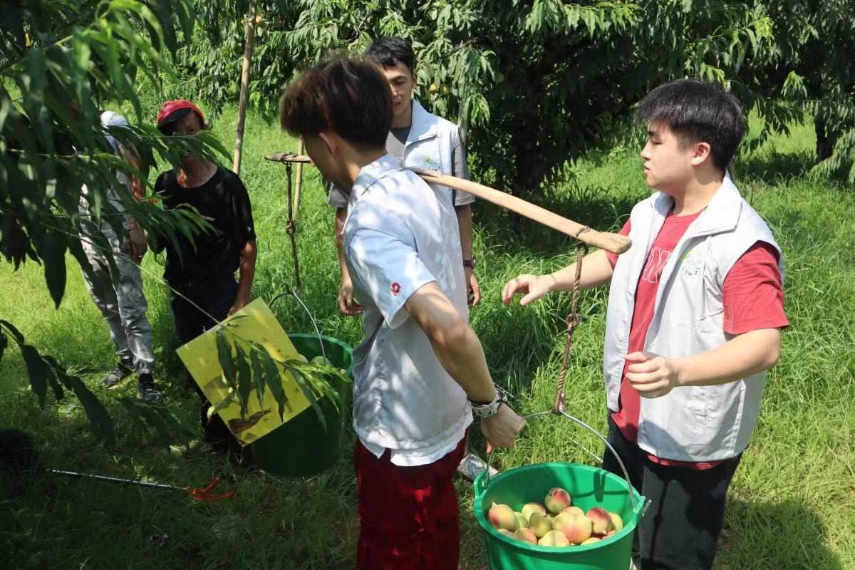 l(xing)ꠎl(xing)dҹr(nng)M(jn)ɫr(nng)I(y)a(chn)I(y)l(f)չ