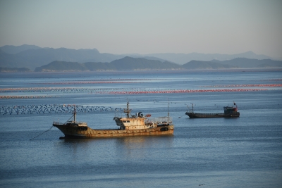 퍔yǻۣl(xing)Ld  W(xu)ϼ֌(sh)`ӛ