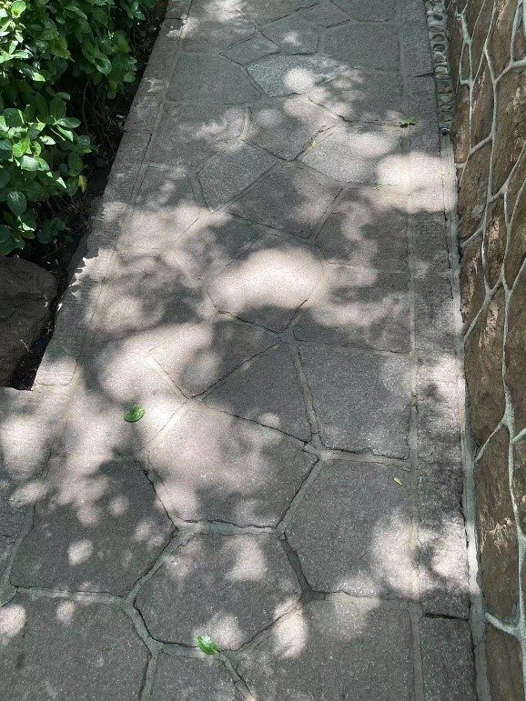 ɽ|W(xu)ƌW(xu)W(xu)Ժϣࡱ{(dio)ЈF(tun)uυ^(q)ɽ^(q)_չ(hu)(sh)`(dng)