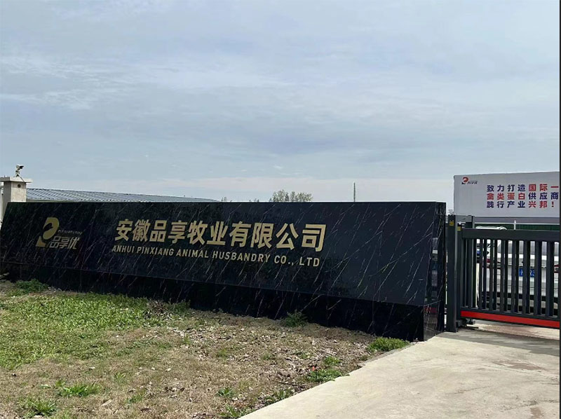 t(y)W(xu)Ӽtl(xing):ˎuZȻ