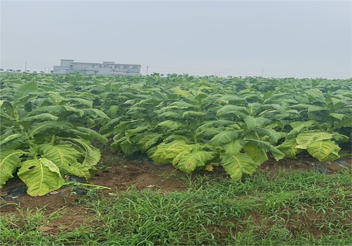 ZxrFꠌؿ쟟~NֲͿأȫ˽⟟~ӹ^