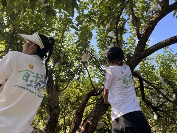 ǧf̡ӰӘ`cʡpЄӡŷ(zhn)_չr(nng)I(y)ЌW(xu)