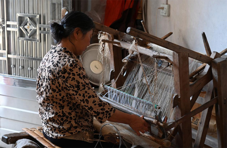 ֿĲ㝙ഺԴ(mng)ÈF(tun)zĲw(yn)Ll(xing)ƪ