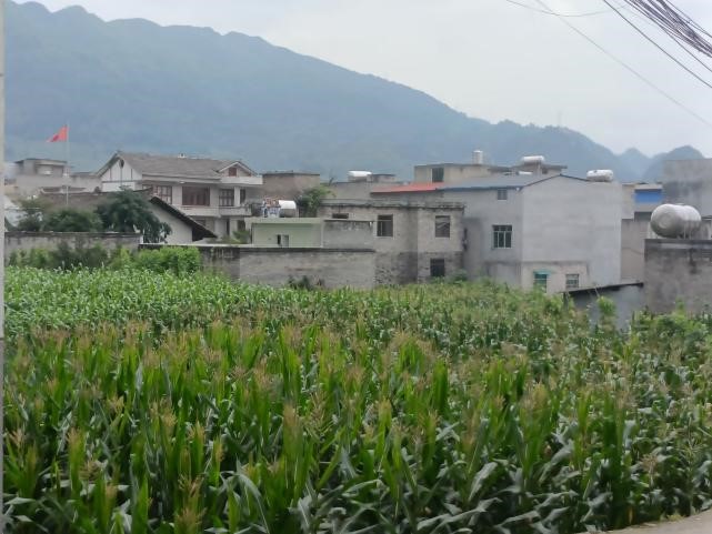 LƎrF⌍飬̽Ԫlչ·