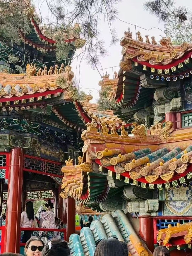 ̽vʷ}j(lu)(sh)`(du)TM(jn)^