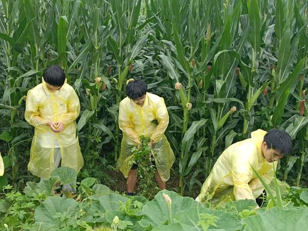 r(nng)ĻM(jn)O(sh)