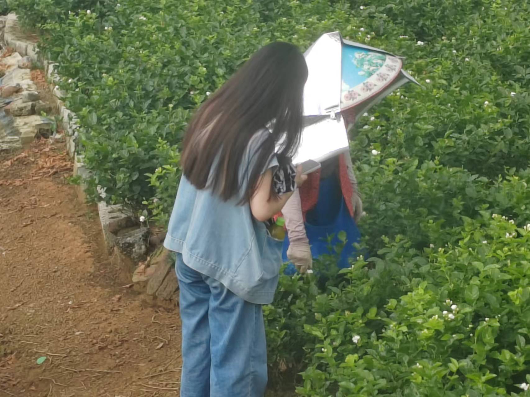 fh㣬r(nng)¸VW(xu)С{(dio)ЈF(tun)꠸V΅^(q)όMA@