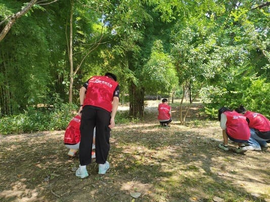 ȫDbr(nng)l(f)չcB(ti)o