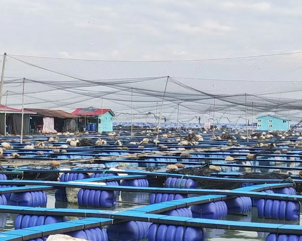 ֱNS~ ------BTWθWԺlֱ؛֮