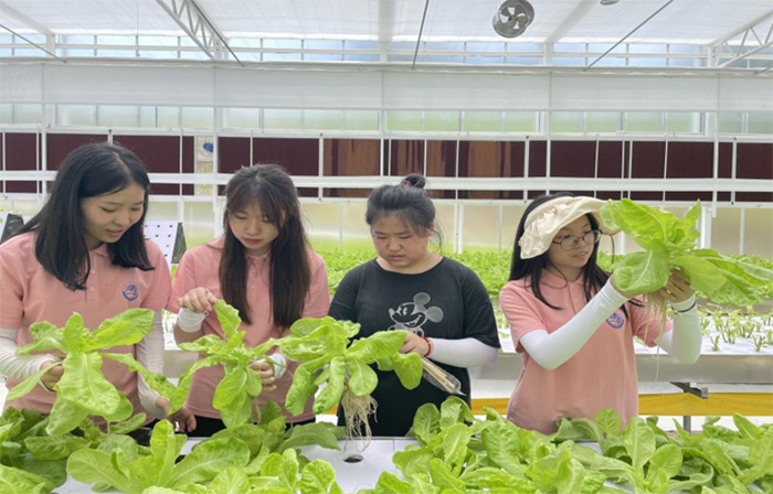 (sh)f(shu)r(nng)I(y)l(f)չǡƿƼx