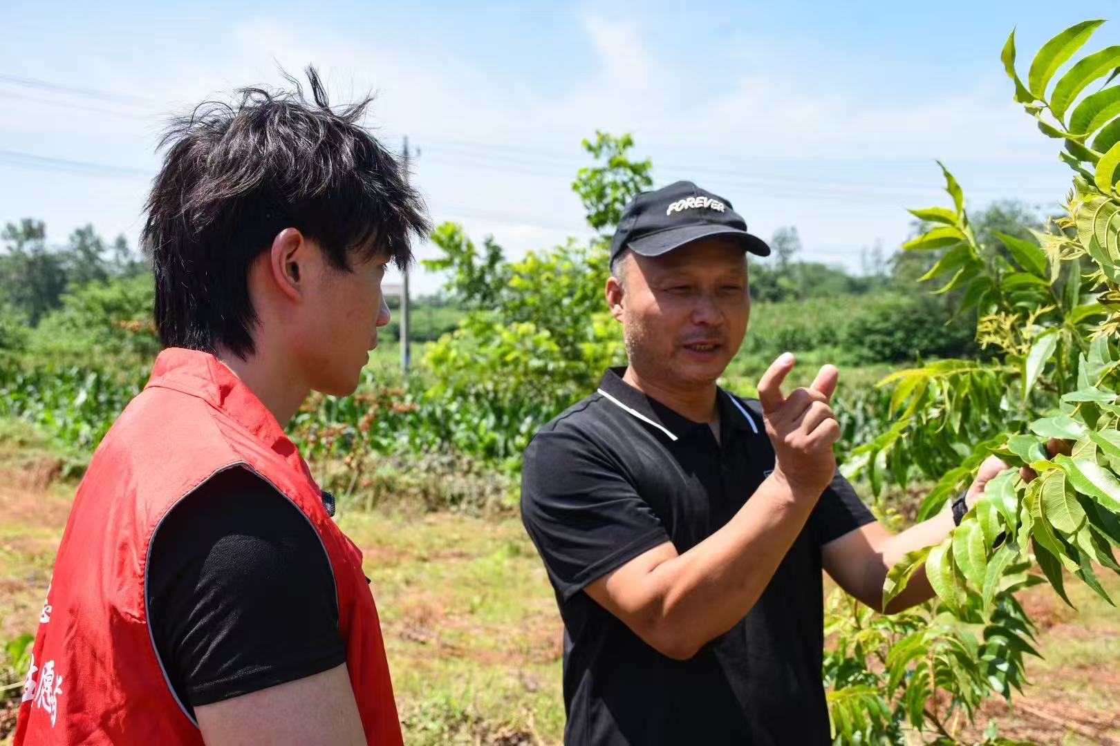 WԺ̹WԺh悽ĻӰlչB{ЈF朄ӳϸ_չl彛Ļ{л