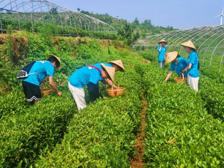 ڿǻڲ㣺ɽ|ͨW(xu)Ժ̤ˌ(sh)`F(tun)̽Ļxl(xing)d·