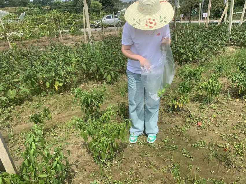 ǻcȼϣ (chung)B(ti)҈@