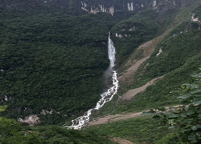 ·푣ŵ(mng)L(zhng)W(xu)Ӹf·