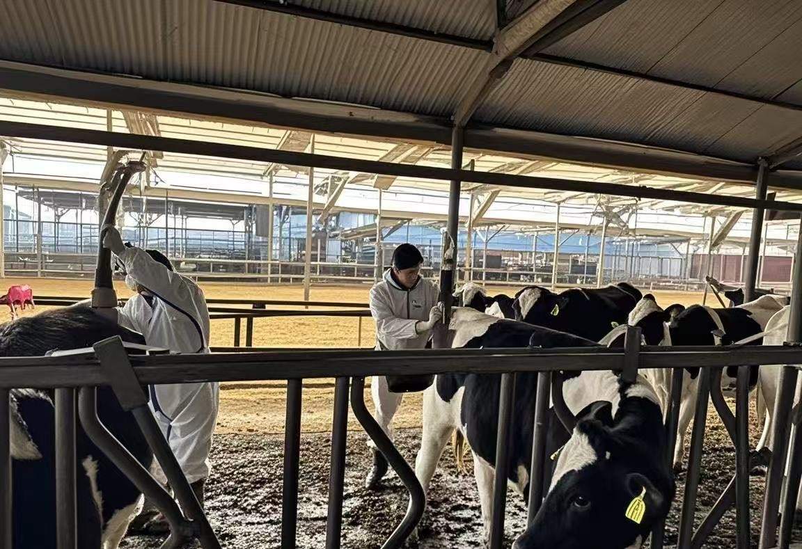 zF꠳ɹаlٙzyϾԇʹzyٱݣroIȫ