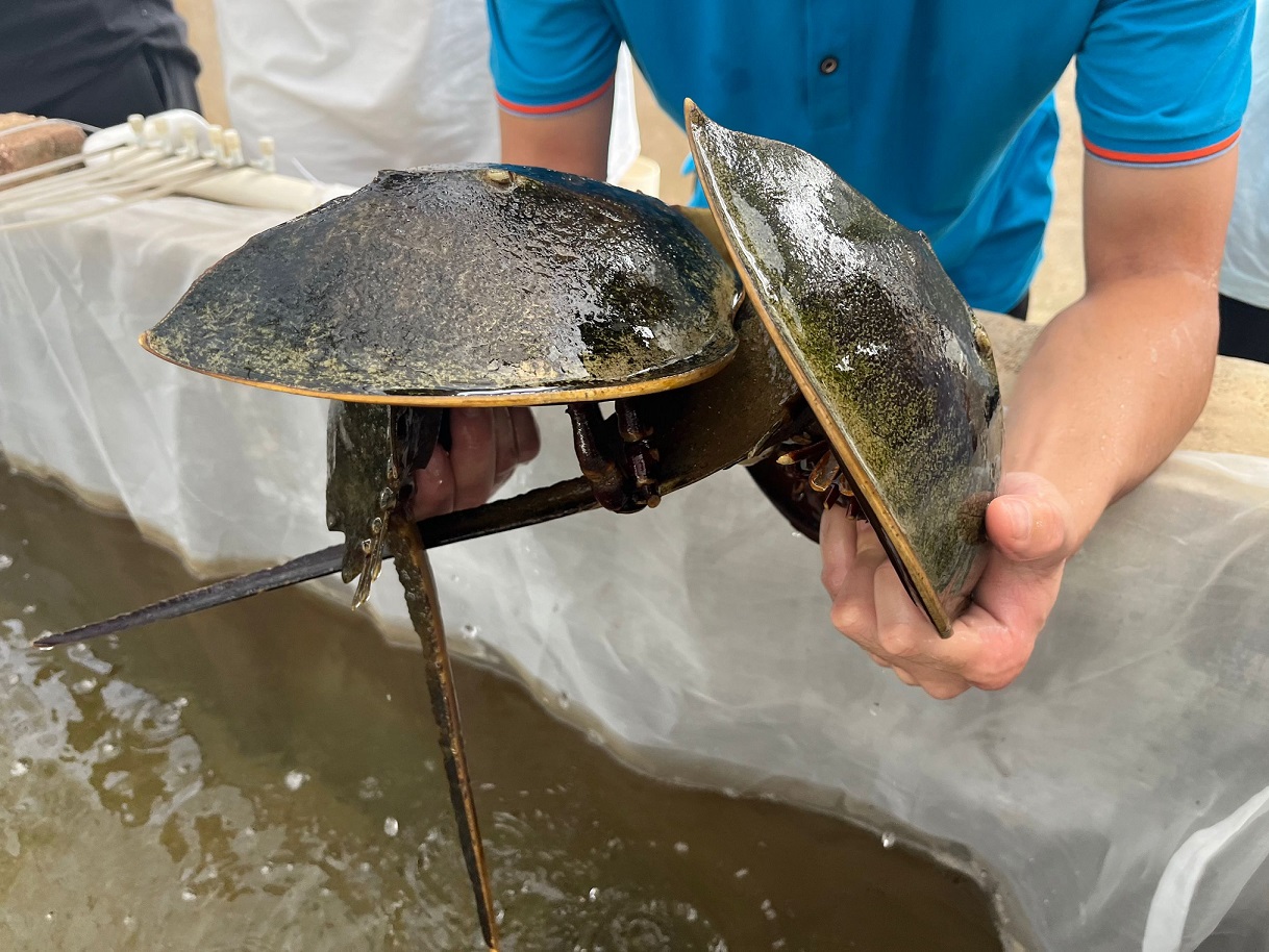 rִW֌WԺ`꠸_Դ_չЇcջ