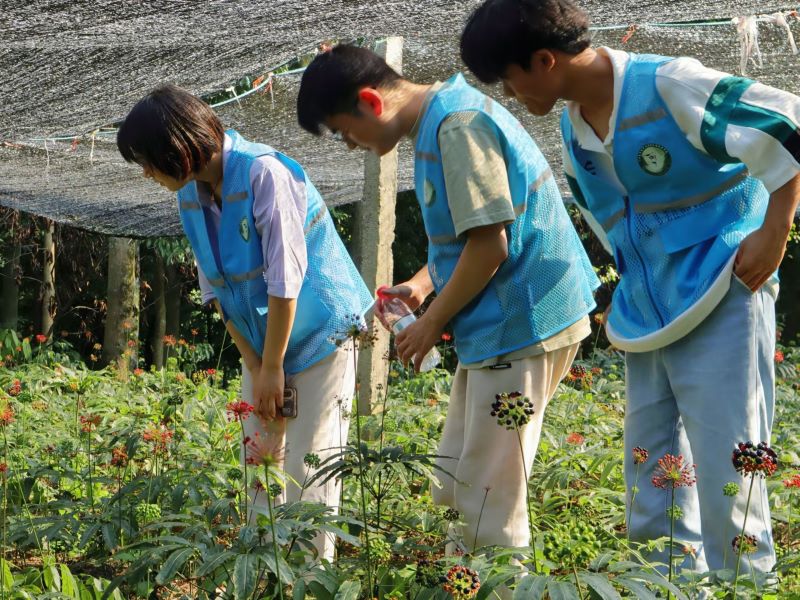 ˎݷNֲÓؚldٰlչ