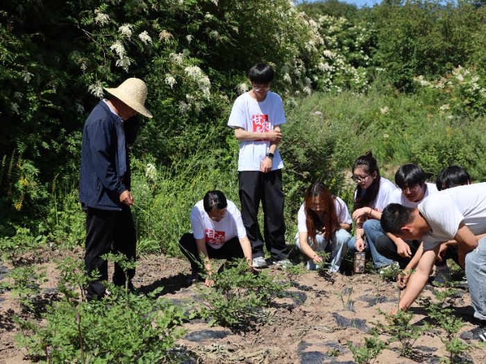 r(nng)ӿƌW(xu)̤t;