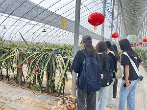 W(xu)(hu)(sh)`{(dio)̽Gɫr(nng)I(y)ȫa(chn)I(y)朣l(xing)؅^(q)(jng)(j)vw