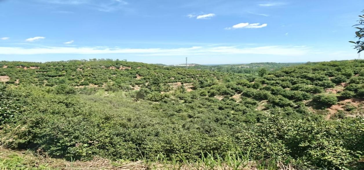 Ͼؔ(jng)W(xu)һ͡l(xing)կͮa(chn)I(y)c