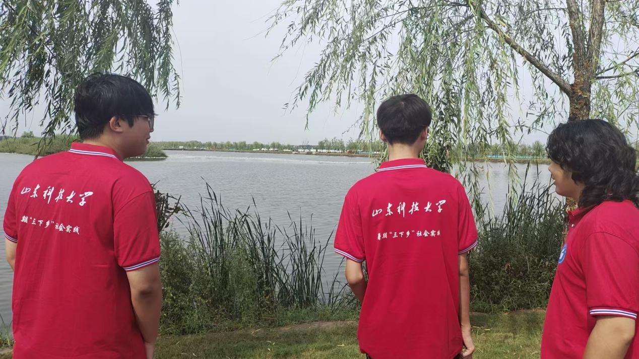 ɽ|ƼWؓɽ`{ЈF̽LifúVIú݅^