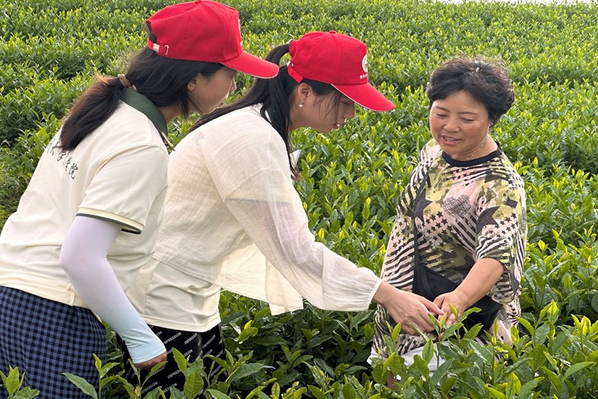 ؑSС(sh)`(du)衲@һƬ~˄¸ܴa