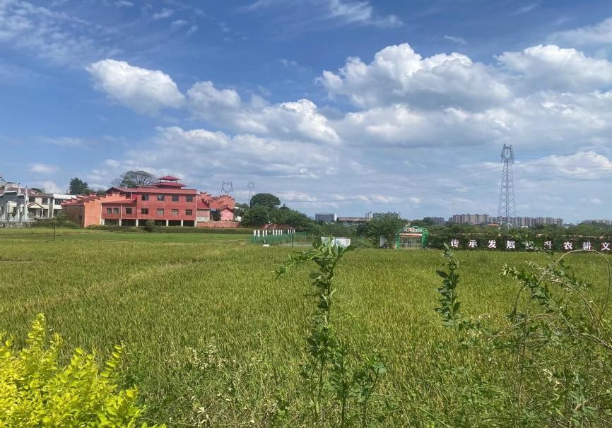 ZdlϴWČWԺZҊ`F꠸g_չ{л